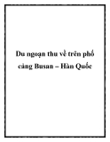 Du ngoạn thu về trên phố cảng Busan – Hàn Quốc