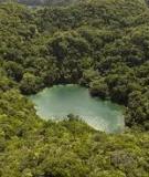 Thỏa thích ngâm mình trong Hồ sứa nước mặn tuyệt đẹp ở đảo Palau
