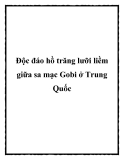 Độc đáo hồ trăng lưỡi liềm giữa sa mạc Gobi ở Trung Quốc