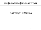 NHẬP MÔN MẠNG MÁY TÍNH - BÀI THỰC HÀNH 2A