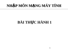 NHẬP MÔN MẠNG MÁY TÍNH - BÀI THỰC HÀNH 1