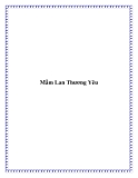Truyện ngắn Mầm Lan Thương Yêu