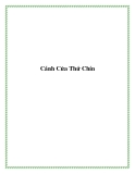 Truyện ngắn Cánh Cửa Thứ Chín
