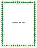 Trái Tim Nhạy Cảm