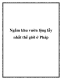 Ngắm khu vườn lộng lẫy nhất thế giới ở Pháp