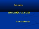 Bài giảng Hoá học Glucid