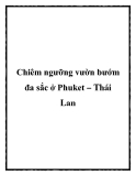 Chiêm ngưỡng vườn bướm đa sắc ở Phuket – Thái Lan