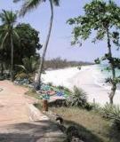 Khám phá vẻ đẹp hoang sơ của bãi biển nhiệt đới ở Kenya