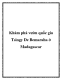 Khám phá vườn quốc gia Tsingy De Bemaraha ở Madagascar