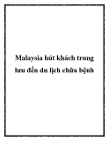 Malaysia hút khách trung lưu đến du lịch chữa bệnh