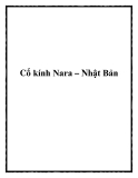 Cổ kính Nara – Nhật Bản