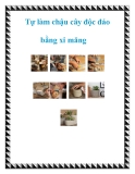 Tự làm chậu cây độc đáo bằng xi măng