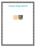 Chong chóng mùa hè