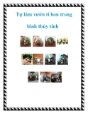 Tự làm vườn tí hon trong bình thủy tinh