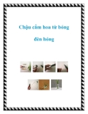 Chậu cắm hoa từ bóng đèn hỏng