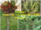 Chương 1: THỰC VẬT NGÀNH HẠT TRẦN (Pinophyta)