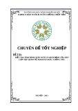 Chuyên đề tốt nghiệp: Điều tra tình hình chăn nuôi và dịch bệnh của đàn lợn tại xã Hàm Tử, huyện Khoái Châu, tỉnh Hưng Yên