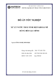 ĐỒ ÁN TỐT NGHIỆP: XỬ LÝ NƯỚC THẢI TINH BỘT KHOAI MÌ BẰNG BÈO LỤC BÌNHNgành:CÔNG NGHỆ SINH HỌCGiảng viên hướng dẫn : ThS. VŨ HẢI YẾN Sinh viên thực hiện MSSV: 105111079 : HUỲNH THỊ THUẬN L