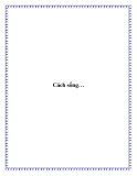 Cách sống…