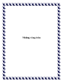 Những vòng tròn