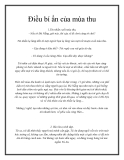 Điều bí ẩn của mùa thu