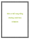 Khi cơ thể rung tiếng chuông cảnh báo: STRESS