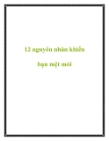 12 nguyên nhân khiến bạn mệt mỏi