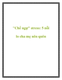 "Chế ngự" stress: 5 nỗi lo cha mẹ nên quên