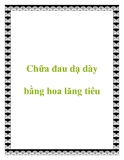 Chữa đau dạ dày bằng hoa lăng tiêu