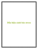 Dấu hiệu cảnh báo stress