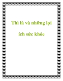 Thì là và những lợi ích sức khỏe