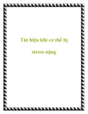 Tín hiệu khi cơ thể bị stress nặng