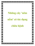 Những cây 'nêm nếm' có tác dụng chữa bệnh