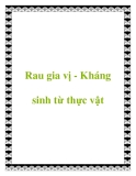 Rau gia vị - Kháng sinh từ thực vật