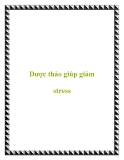 Dược thảo giúp giảm stress