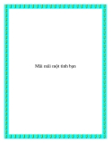 Mãi mãi một tình bạn