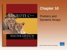 Chapter 10 Pointers and Dynamic Arrays