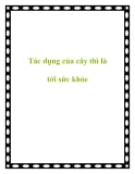 Tác dụng của cây thì là tới sức khỏe