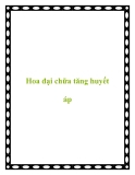 Hoa đại chữa tăng huyết áp