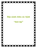 Đậu nành chữa các bệnh “thời đại”