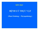 Bệnh lý thực vật - Tuyến trùng hại thực vật