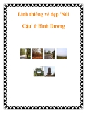 Linh thiêng vẻ đẹp 'Núi Cậu' ở Bình Dương