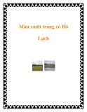 Màu xanh trảng cỏ Bù Lạch