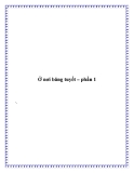 Ở nơi băng tuyết – phần 1