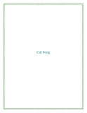Truyện ngắn Cái bóng