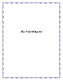 Hai Mặt Đồng Xu