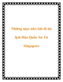 Những mẹo nhỏ khi đi du lịch Đảo Quốc Sư Tử Singapore