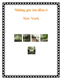 Những góc êm đềm ở New York