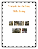 Vẻ đẹp kỳ ảo của Động Thiên Đường