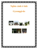 Ngắm cảnh ở tỉnh Gyeonggi-do